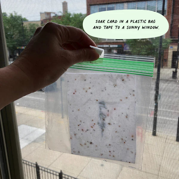 Pet Halo Card