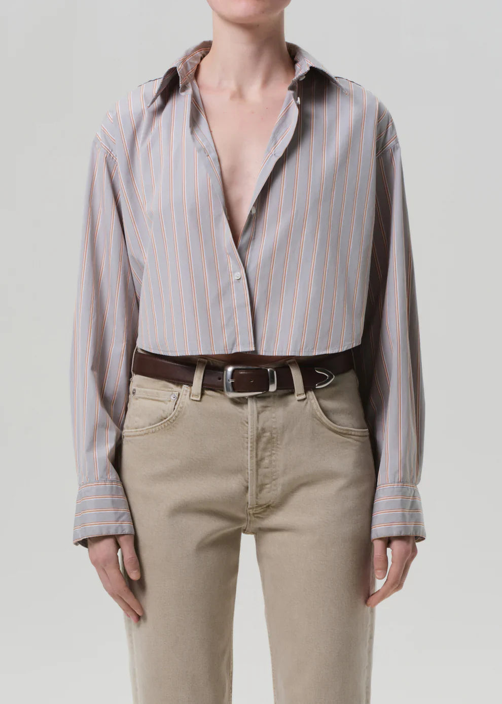 Ana Cropped Shirt in Noble Stripe