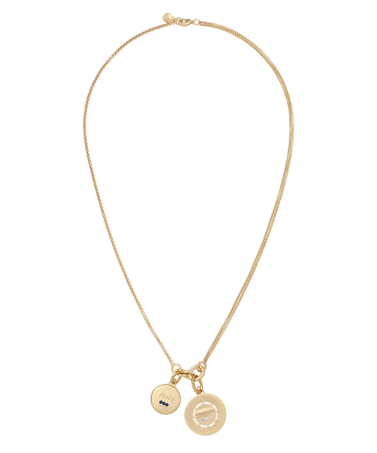 The Medallion Charm Necklace
